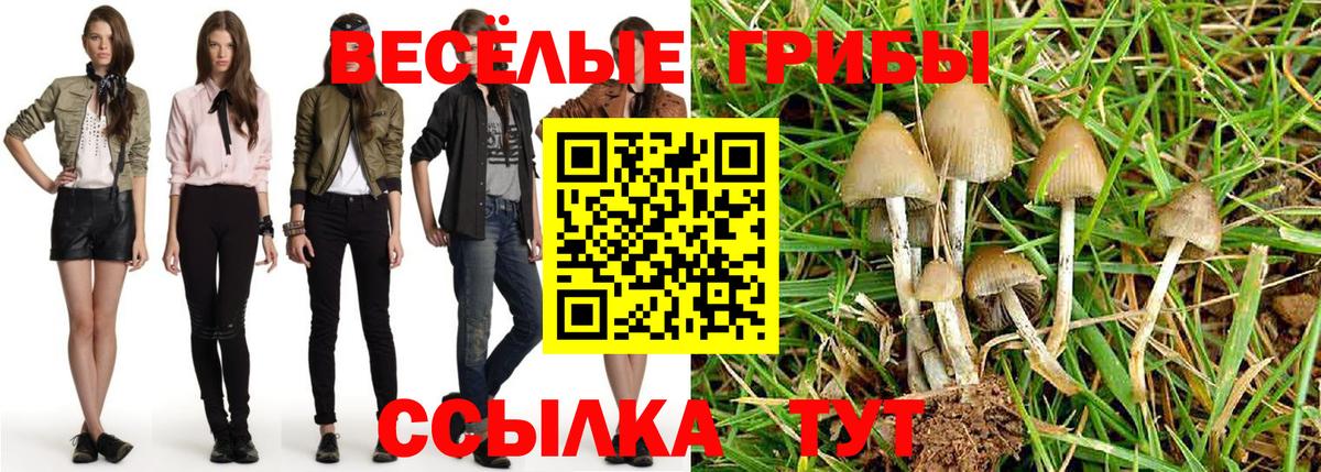 Советский  Псилоцибиновые грибы Magic Shrooms  Вход с VPN 