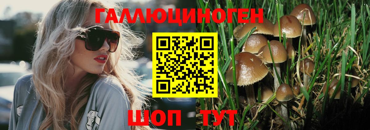 Псилоцибиновые грибы GOLDEN TEACHER Советский
